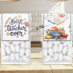 Best Teacher Ever Tic Toc