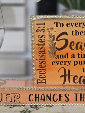 In Every Season Mug Mate with Glass Mug